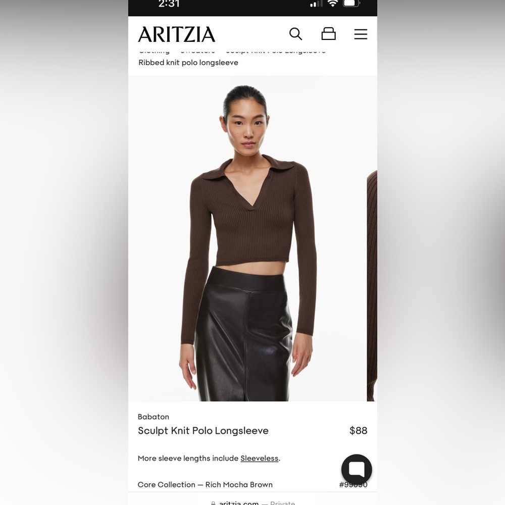 Aritzia Babton shirt